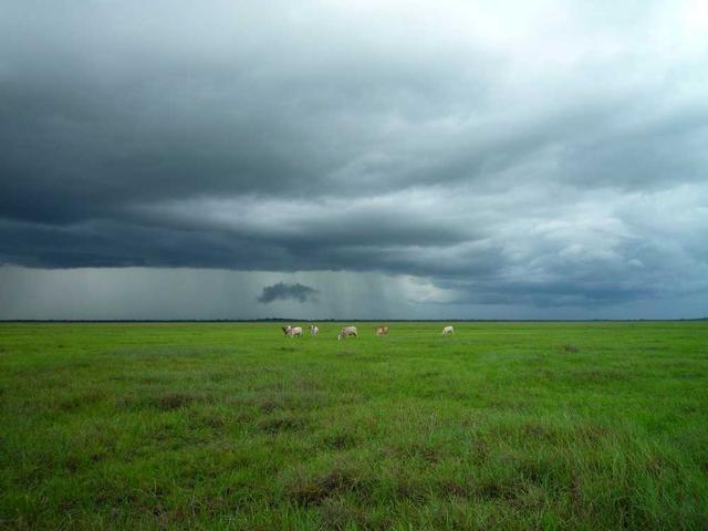 Foto da página Aprigio